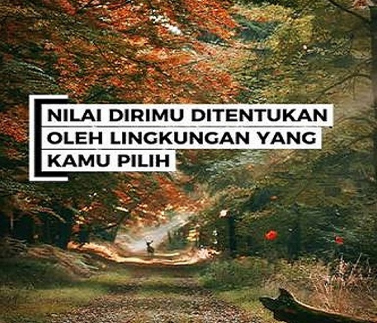 Pilihan terbaik